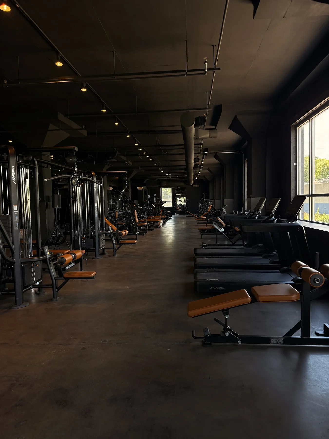 Strength and cardio equipment at Obsidian Athletic Club